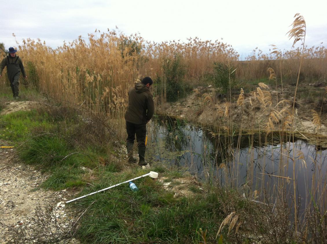 Surveying for mosquito larvae